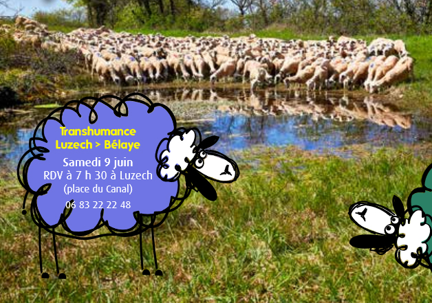 transhumance