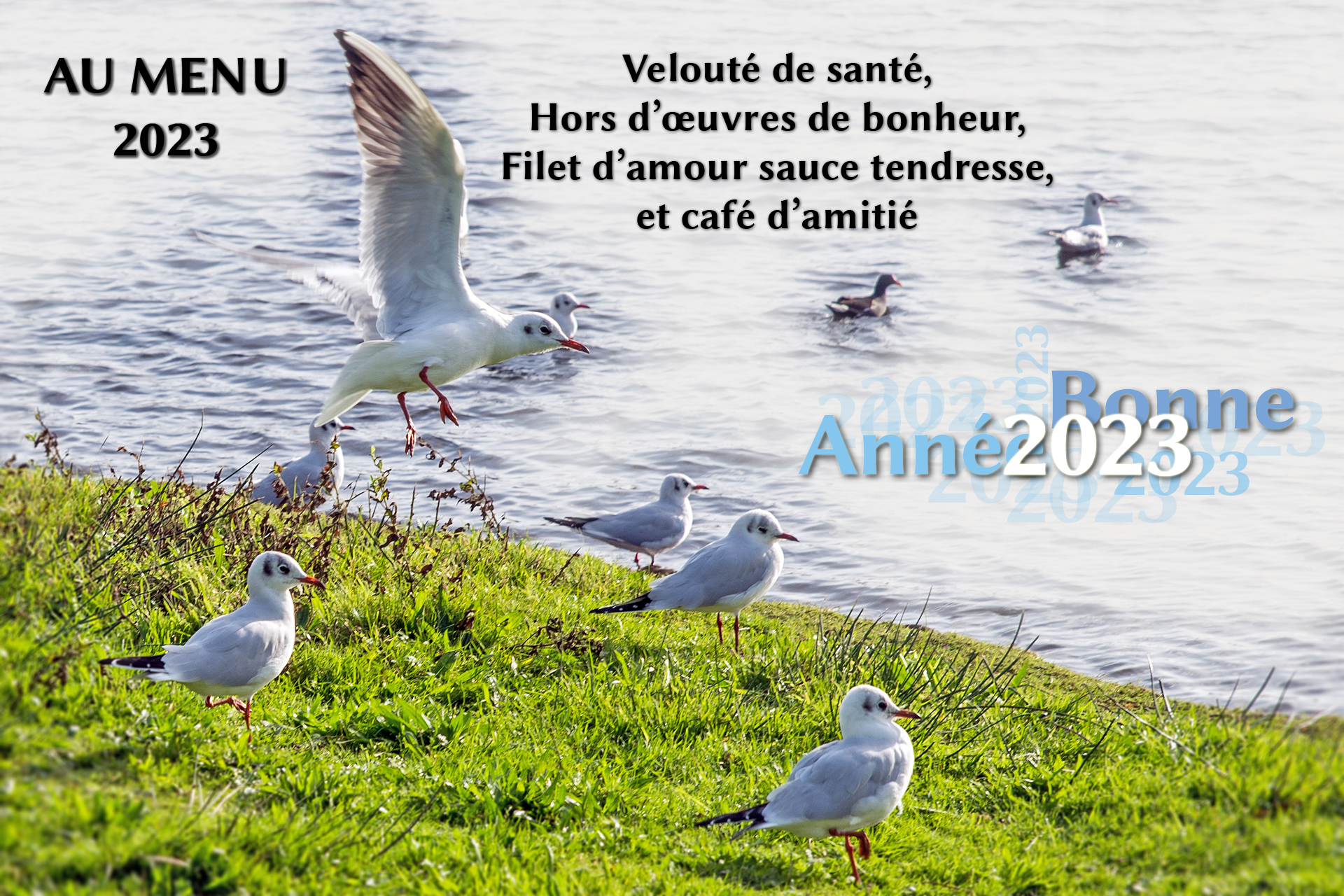 Nouvelle année