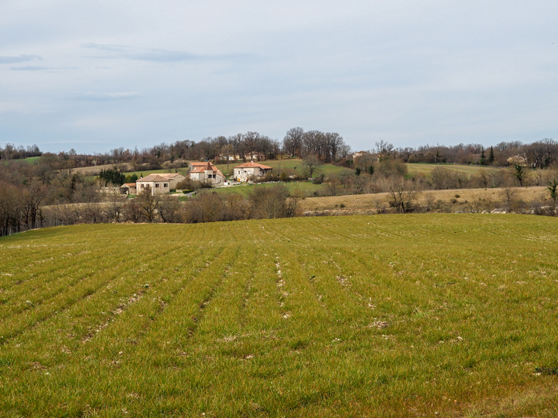 diapo 09