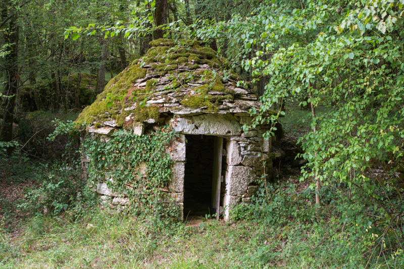 diapo 11
